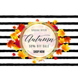 fashion hello autumn sale vector image vector image