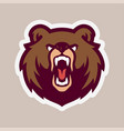 bear head mascot logo design vector image vector image