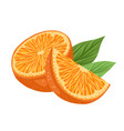 cut orange with slice vector image