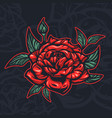 colored rose flower vector image