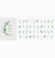 set of luxury green leaves and flowers elements vector image