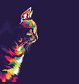 colorful cat vector image vector image