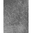 marble black and white background texture trendy vector image