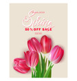 bouquet tulips on a beige background spring vector image vector image