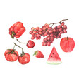 red vegetables and fruit set watercolor vector image