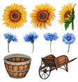 watercolor country flowers and wooden rustic vector image vector image