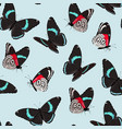 pattern with high detailed vivid butterfly vector image