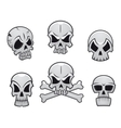 cartoon skulls set vector image