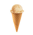 creme brulee caramel or vanilla ice cream in cone vector image