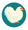 white fluffy chicken vector image vector image