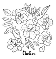 azalea leaves and flowers collection vector image