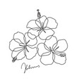 beautiful hibiscus flower line art vector image