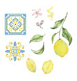 watercolor mediterranean set juicy lemons leaves vector image vector image
