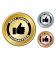 best choice guaranteed labels vector image