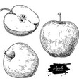 apple drawing hand drawn fruit and sliced vector image