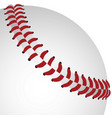baseball closeup vector image