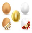 chicken eggs vector image