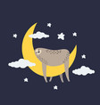 lazy funny sloth sleeping on the crescent moon vector image