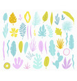 summer time isolated objects vector image