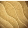 texture of sand vector image vector image