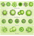 different plants and trees set for architectural vector image vector image