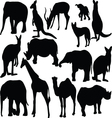 wild animals vector image vector image