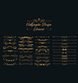 calligraphic design elements set vector image vector image