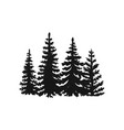 hand drawn forest fir trees silhouettes vector image