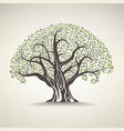 old olive tree vector image