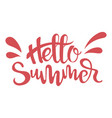 inscription hello summer print with text summer vector image vector image