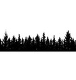 seamless pattern forest christmas fir trees vector image