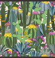 seamless pattern with cactus wild cactus forest vector image vector image