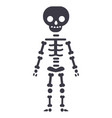 skeletone line icon sign vector image