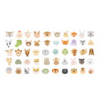 collection of cartoon animal faces vector image