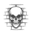 skull on brick wall tattoo vector image vector image