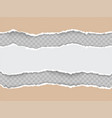 torn paper with ripped edges realistic vector image vector image