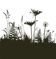 traced elements - the meadow in summer time vector image vector image