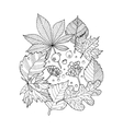 tree leaves coloring book vector image