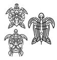 tribal sea turtle vector image