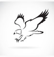 eagle design on white background wild animals vector image