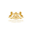 initial cs retro golden crest with shield and two vector image