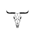 abstract grunge texas cow skull design template vector image