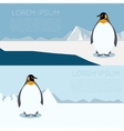 antarctic banner1 vector image vector image