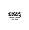 united states jersey new city graffitti vector image