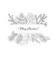 winter frames with evergreen plant and branches vector image vector image