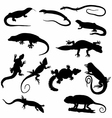 lizards silhouettes detailed vector image vector image
