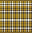 plaid style pattern background vector image vector image