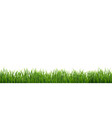 green grass isolated white background vector image