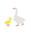 gosling vector image
