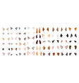 set of dog and cat ears vector image vector image